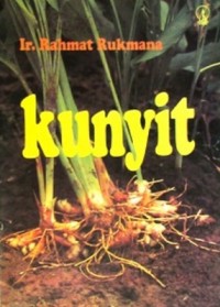 Kunyit