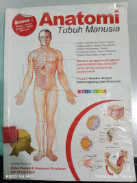 Image of Anatomi Tubuh Manuasia