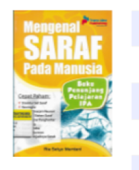 Mengenal Saraf Pada Manusia