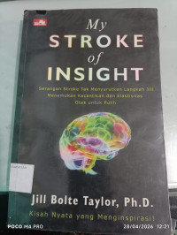 Image of My Stroke Of Insight