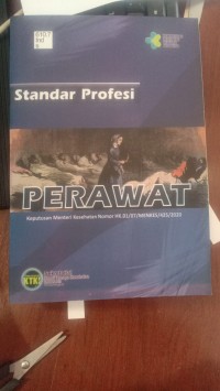 Standar Profesi Perawat