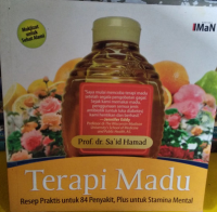 Terapi Madu