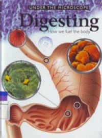 Under The Microscope Digesting : How we fuel the body